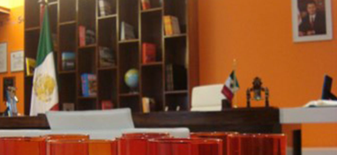 SNTE imagen 3